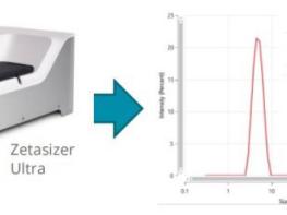 DELVING DEEPER INTO AAV ATTRIBUTES: ENHANCED CHARACTERIZATION USING MULTIPE TECHNOLOGIES 기사 이미지