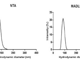 CHARACTERIZING THE SIZE AND CONCENTRATION OF LIPOSOMES USING MULTI-ANGLE DYNAMIC LIGHT SCATTERING 기사 이미지